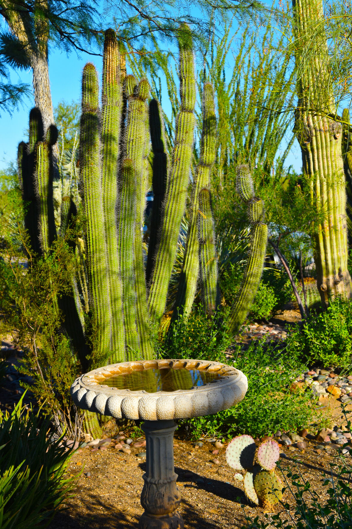 2023 Master Gardener Home Garden Show